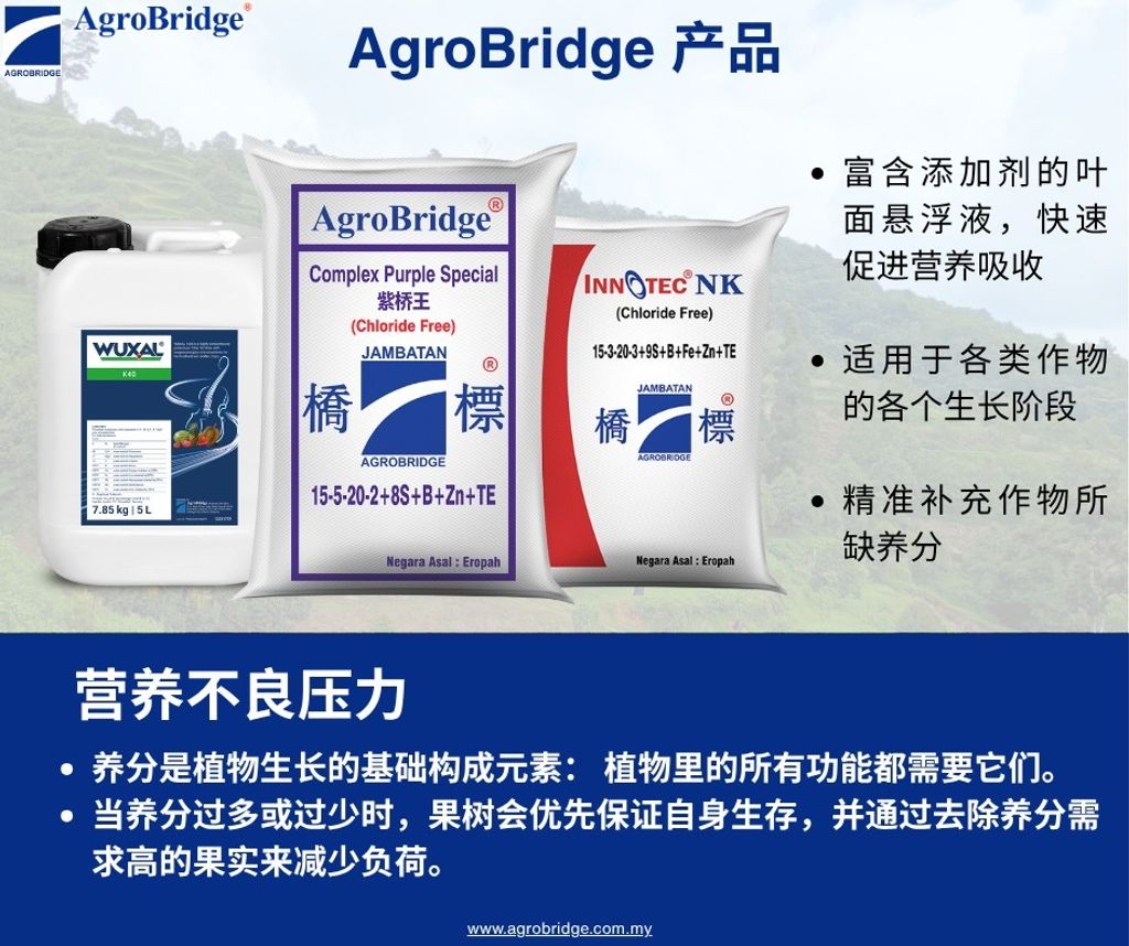 511096411_1294921719307017_2576591732745362591_n