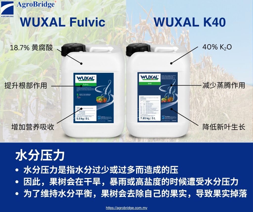 509431412_1291609212971601_8300174152517893181_n