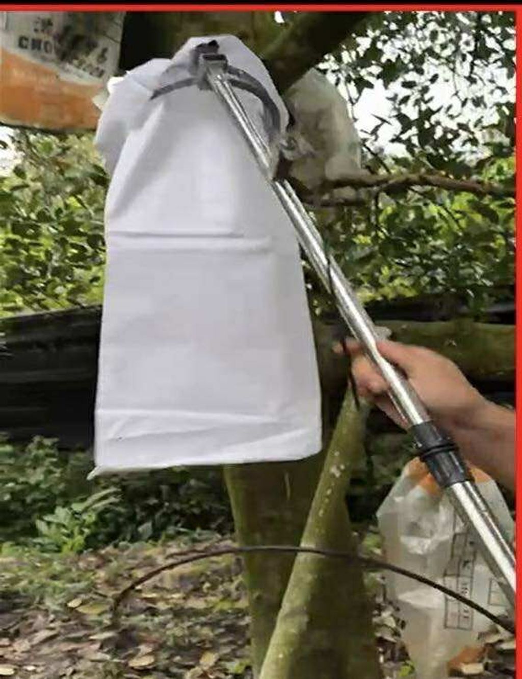 585070084_1526443478602920_1694453872565528876_n