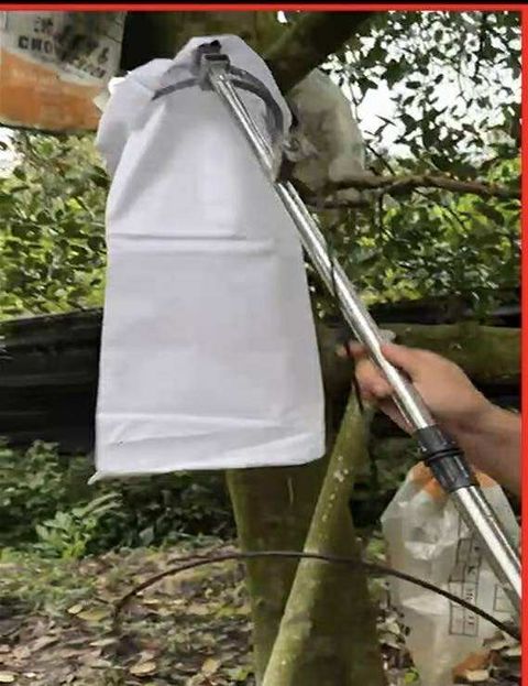 585070084_1526443478602920_1694453872565528876_n