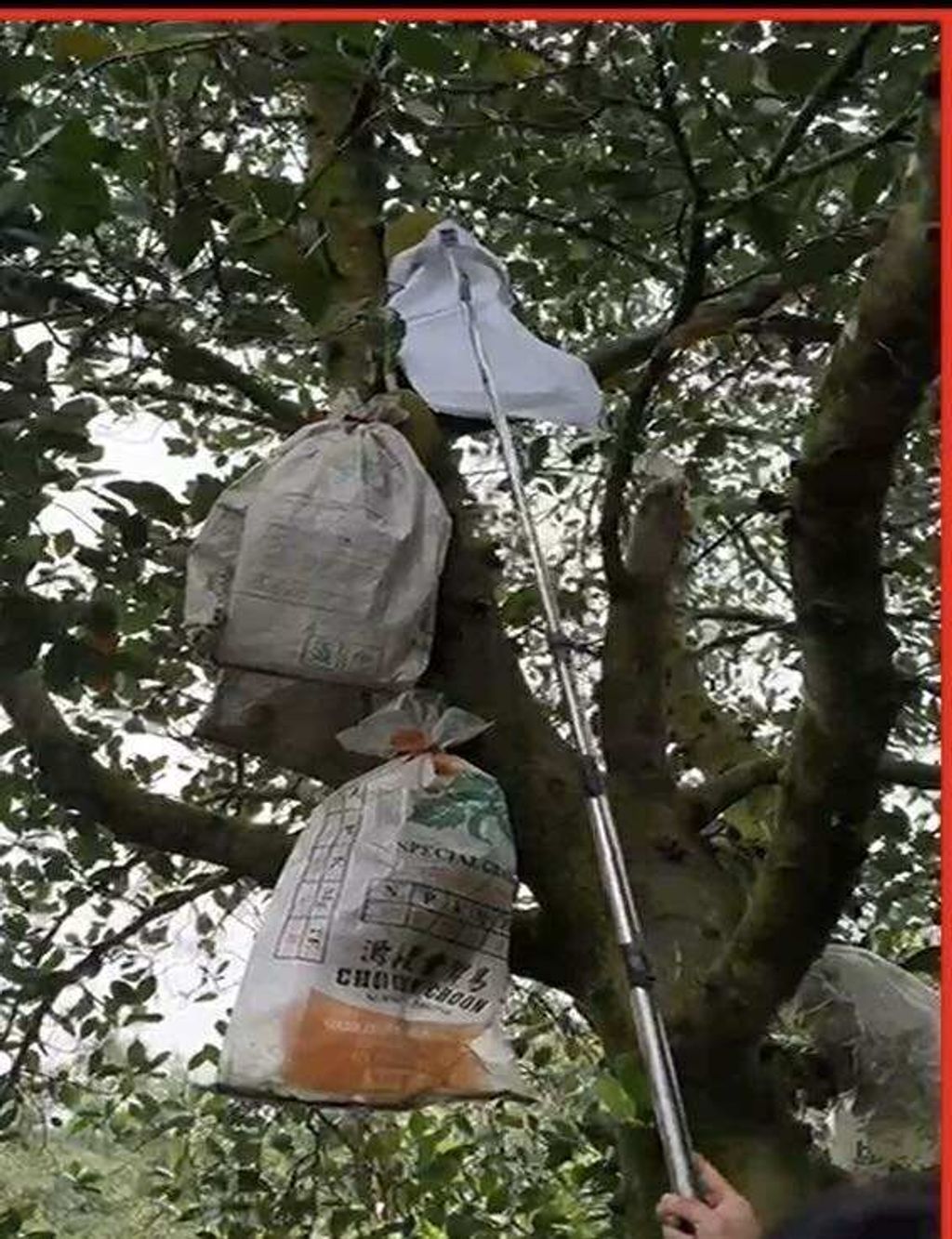 588946118_1394467508987995_8610759868180064125_n