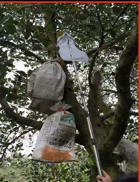 588946118_1394467508987995_8610759868180064125_n