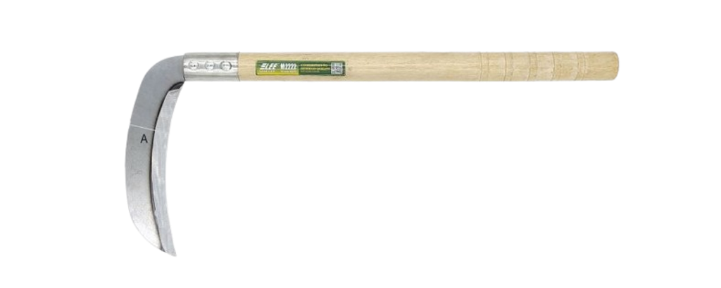 fnedtbe-removebg-preview