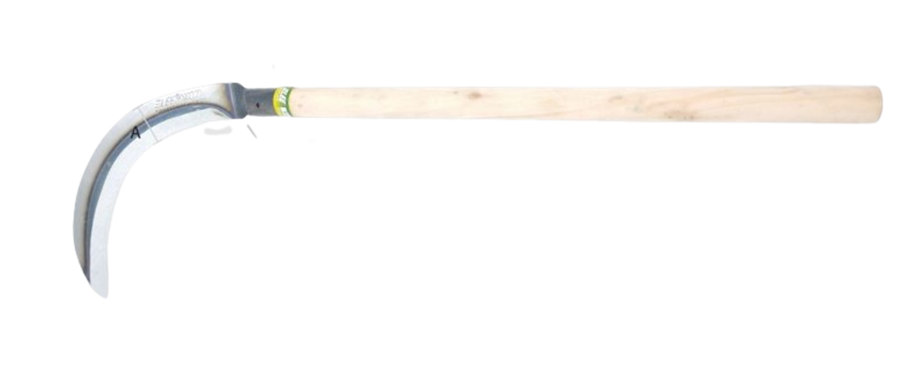 dnedtne-removebg-preview