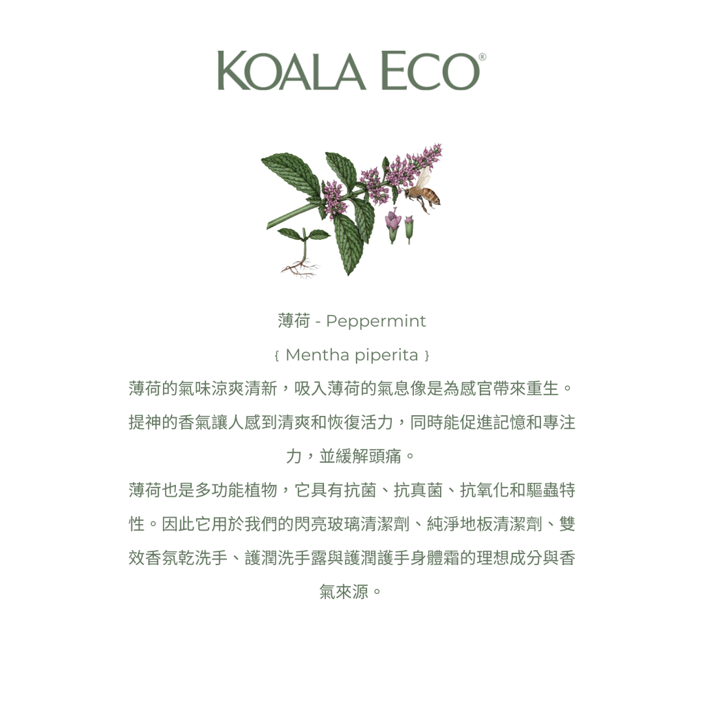薄荷精油介紹
