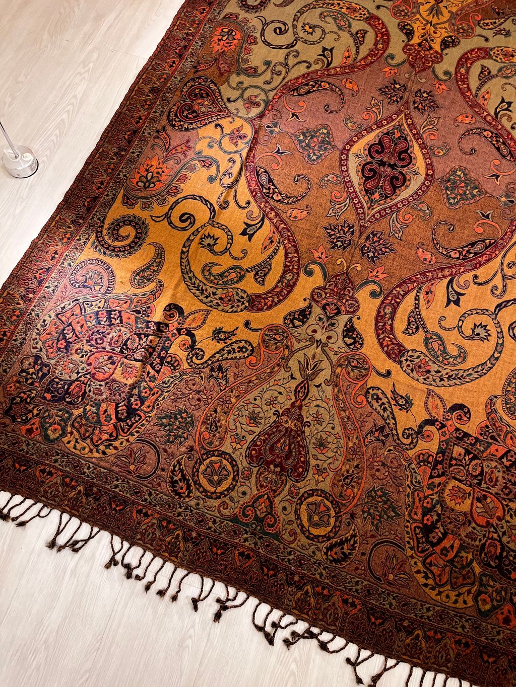 image_A39C196B-3D3C-4AE4-A94B-AA13FE213C0D_1770659413