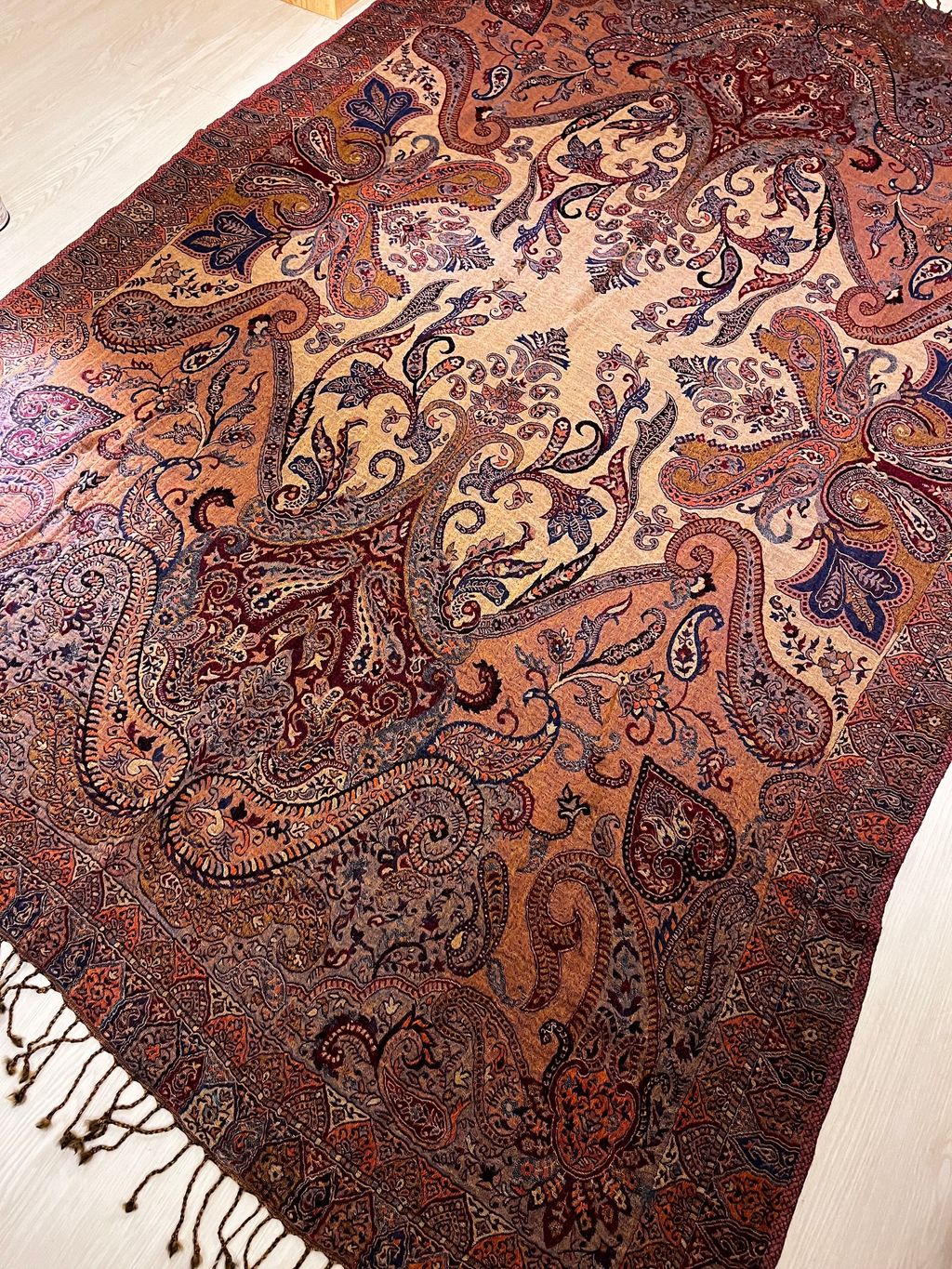 image_248998CC-A86D-4EF9-A4FF-30C1E425D7E5_1770660312