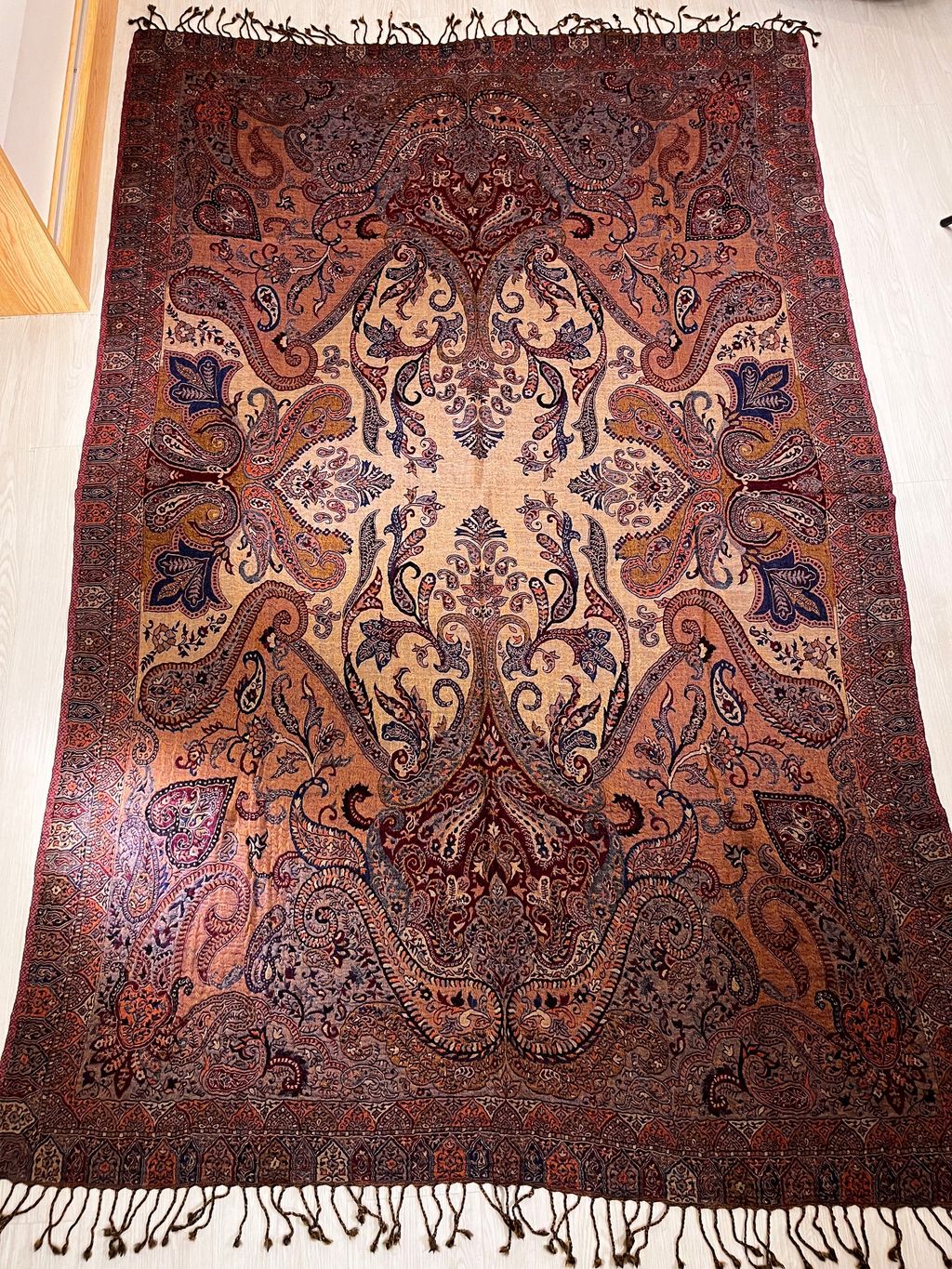 image_F0B2E023-45ED-4345-86F0-8E0FB3E5865E_1770660313