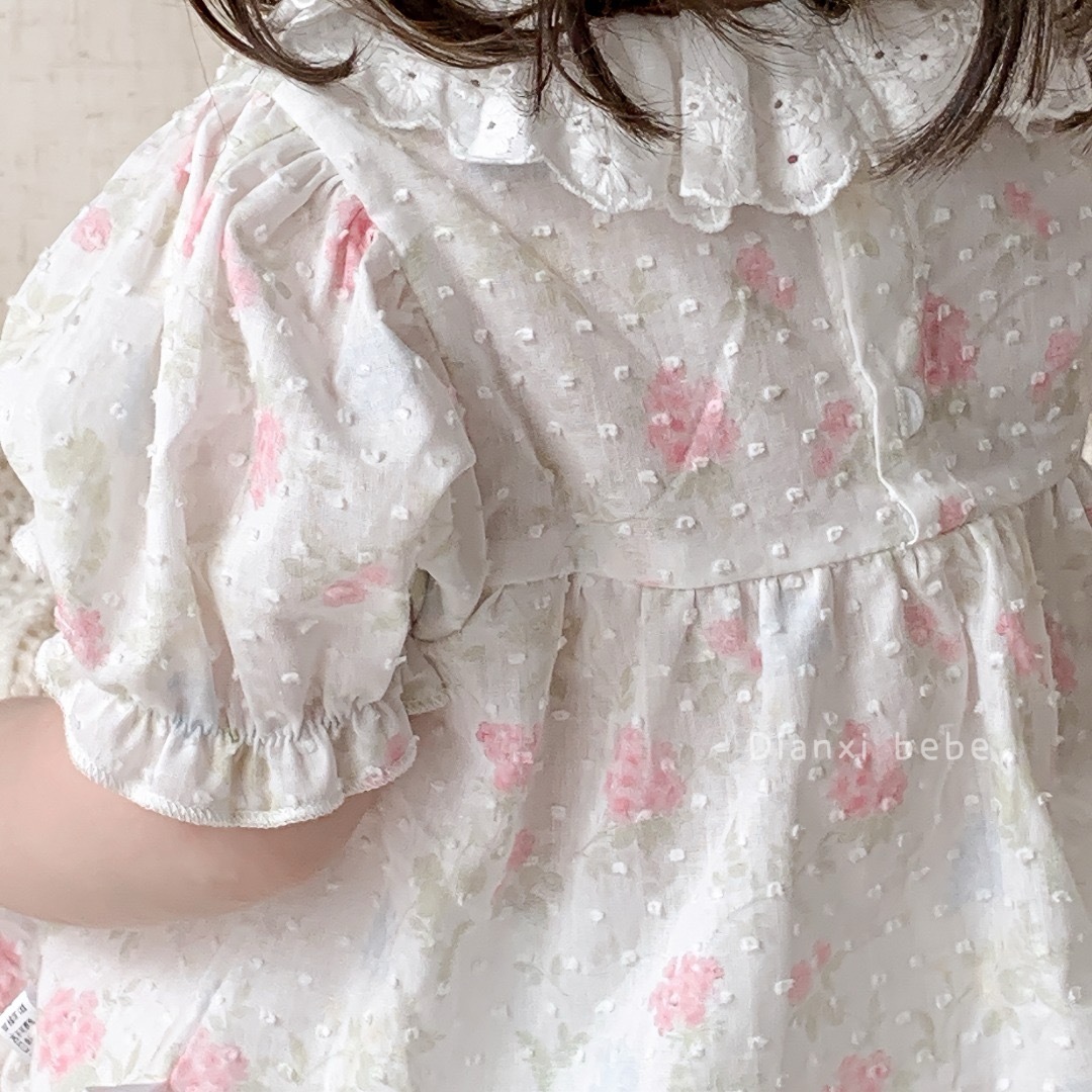 IMG_5529-1723189782670