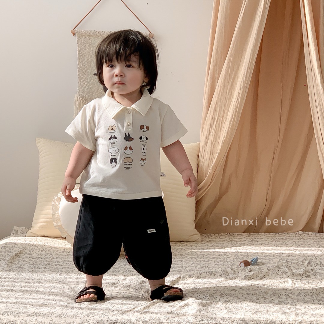 IMG_4549-1723356546300