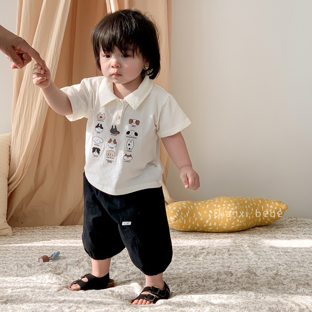 IMG_4550-1723356546308