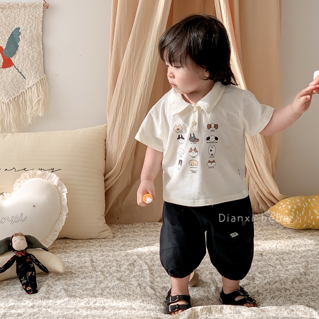 IMG_4551-1723356546317