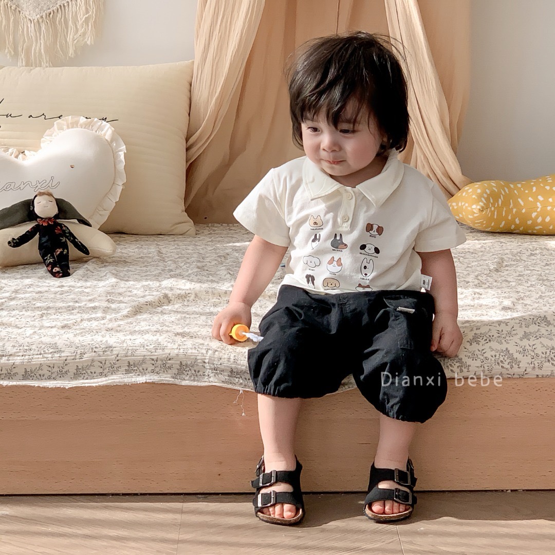 IMG_4552-1723356546325