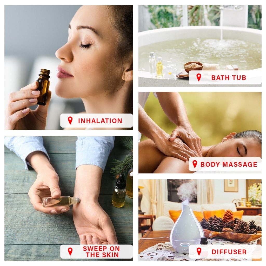 21305948a6377a50360fa1f9f66324bc