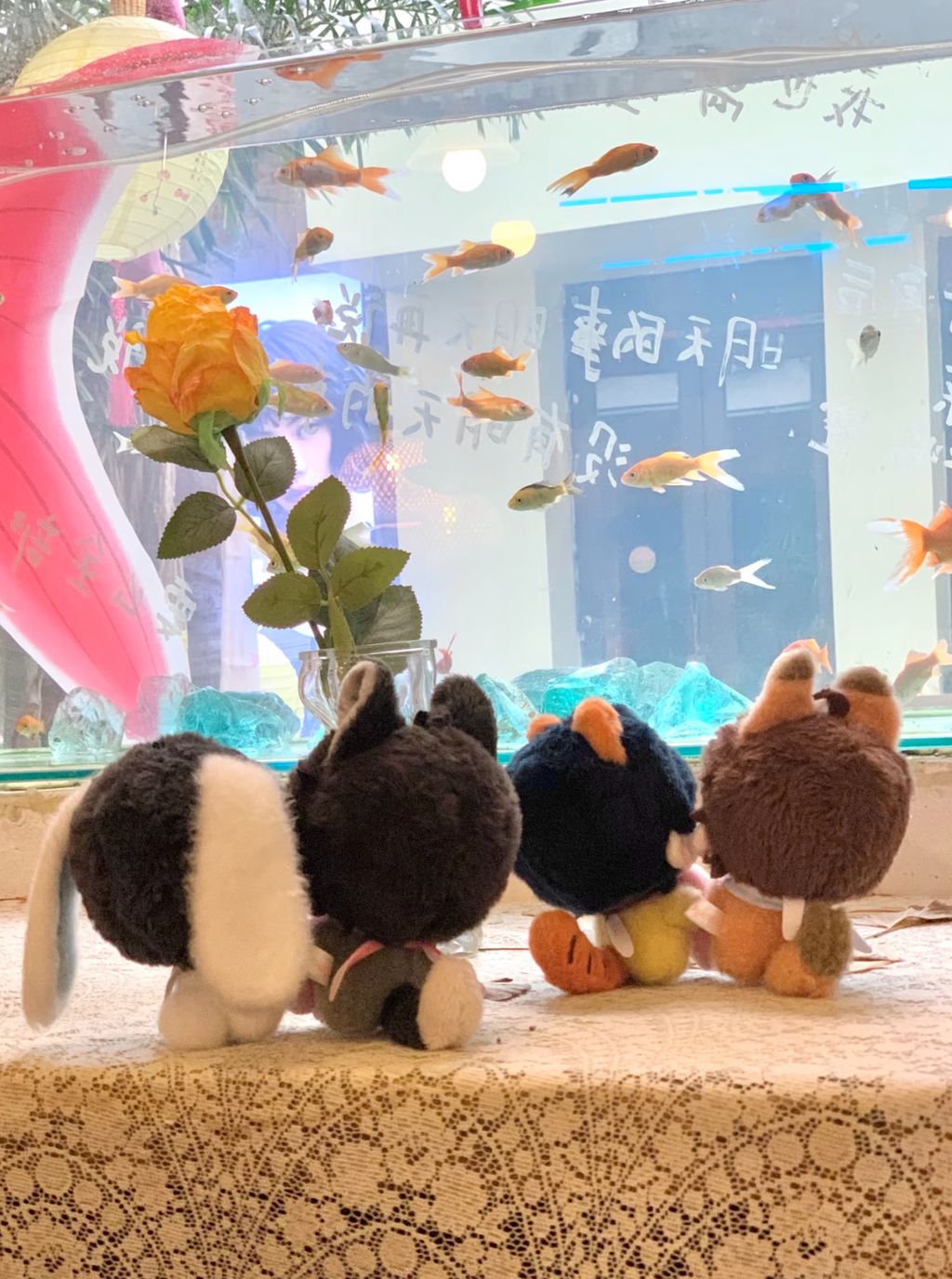 image_B4B22869-8269-4C93-B0CF-21B641D21C2F_1770432079