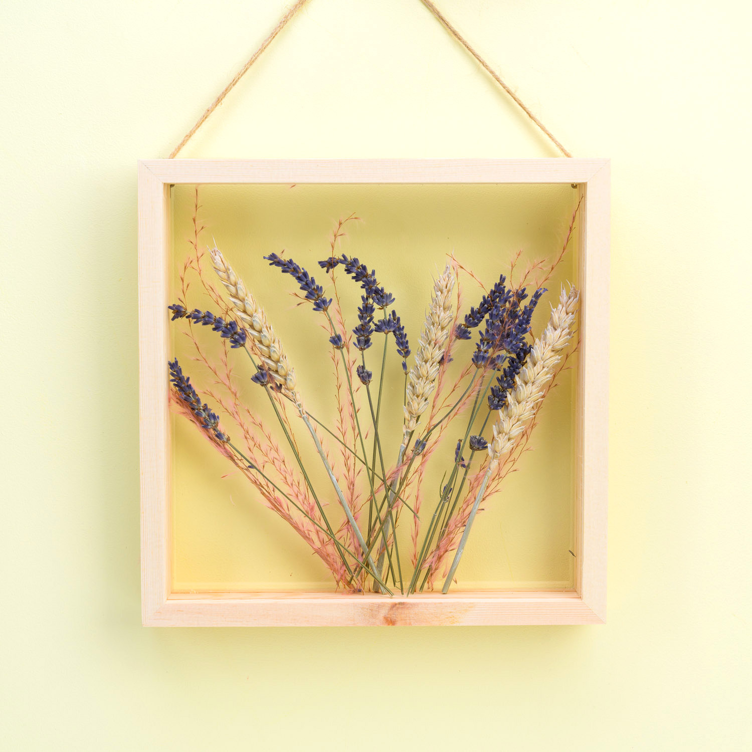 841267-MAGS-Vertriebs-GmbH-Transparent-frame-square-1-2