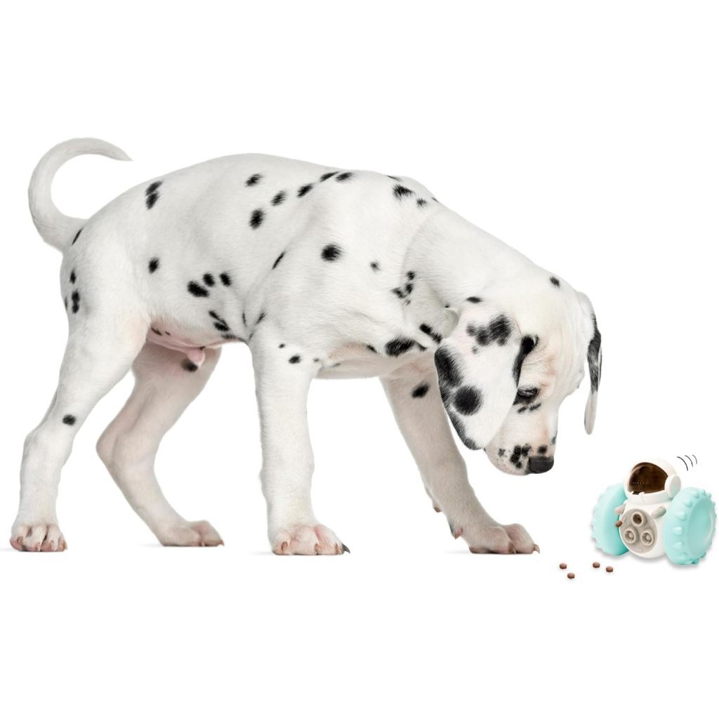 tw-11134207-7rash-m59xwruoxrlt39