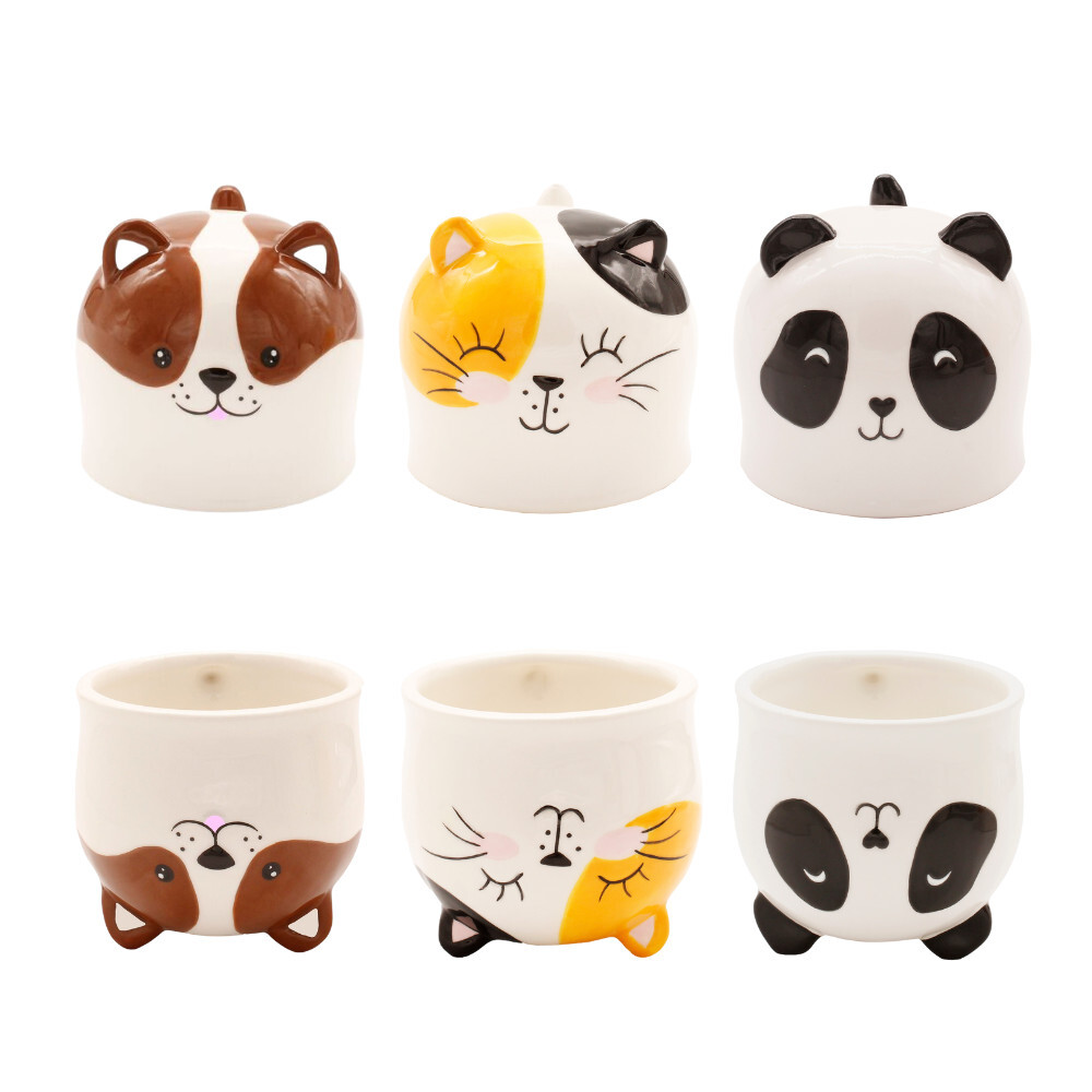 sg-11134201-7rdyb-m0mzxdi2xxlaaa