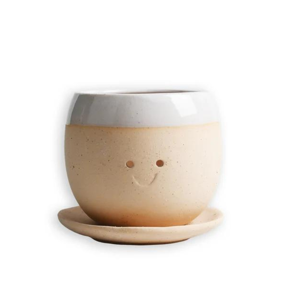 tw-11134207-7r98x-lzenuqtrvcok54