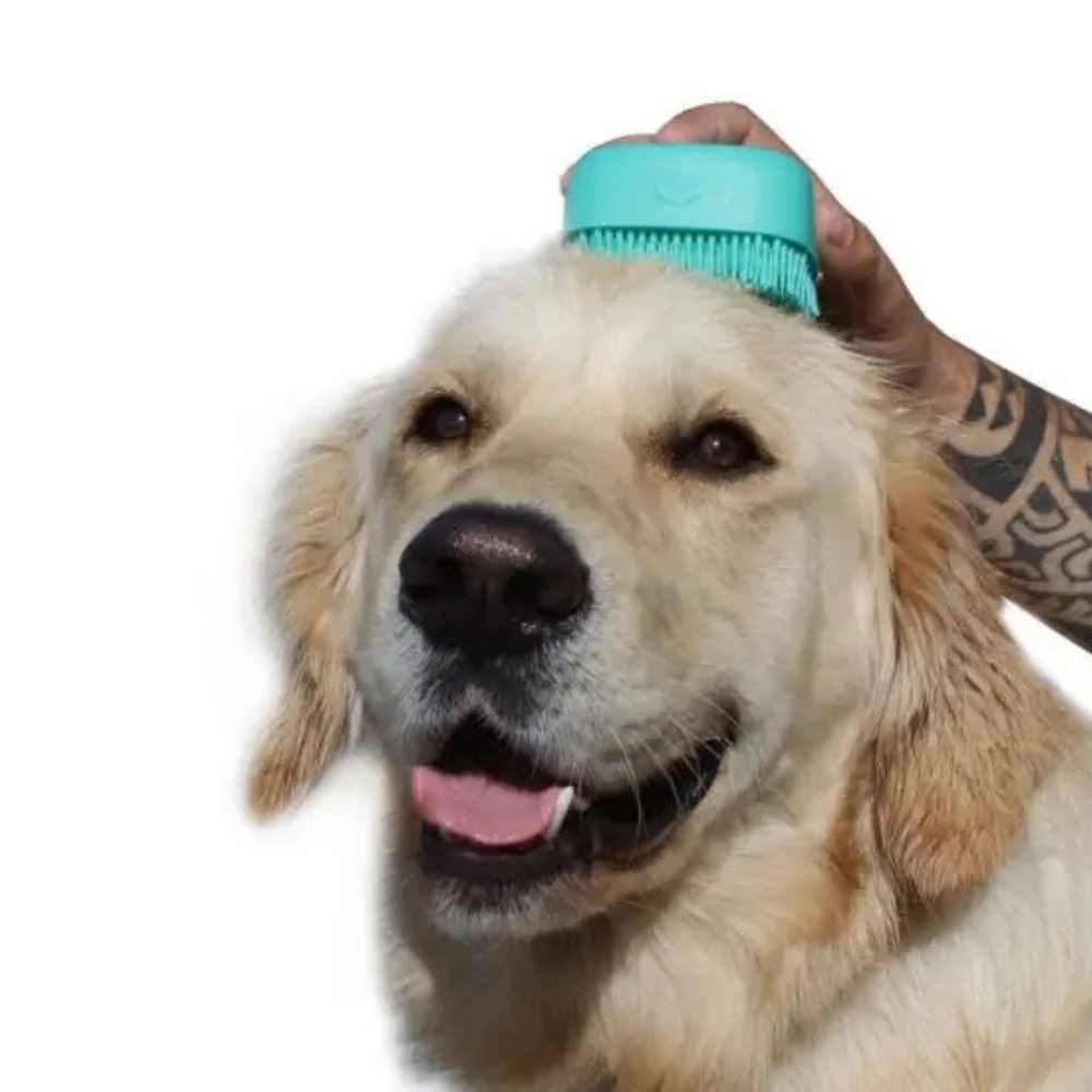 tw-11134207-7rash-m5e80wy7p0za68