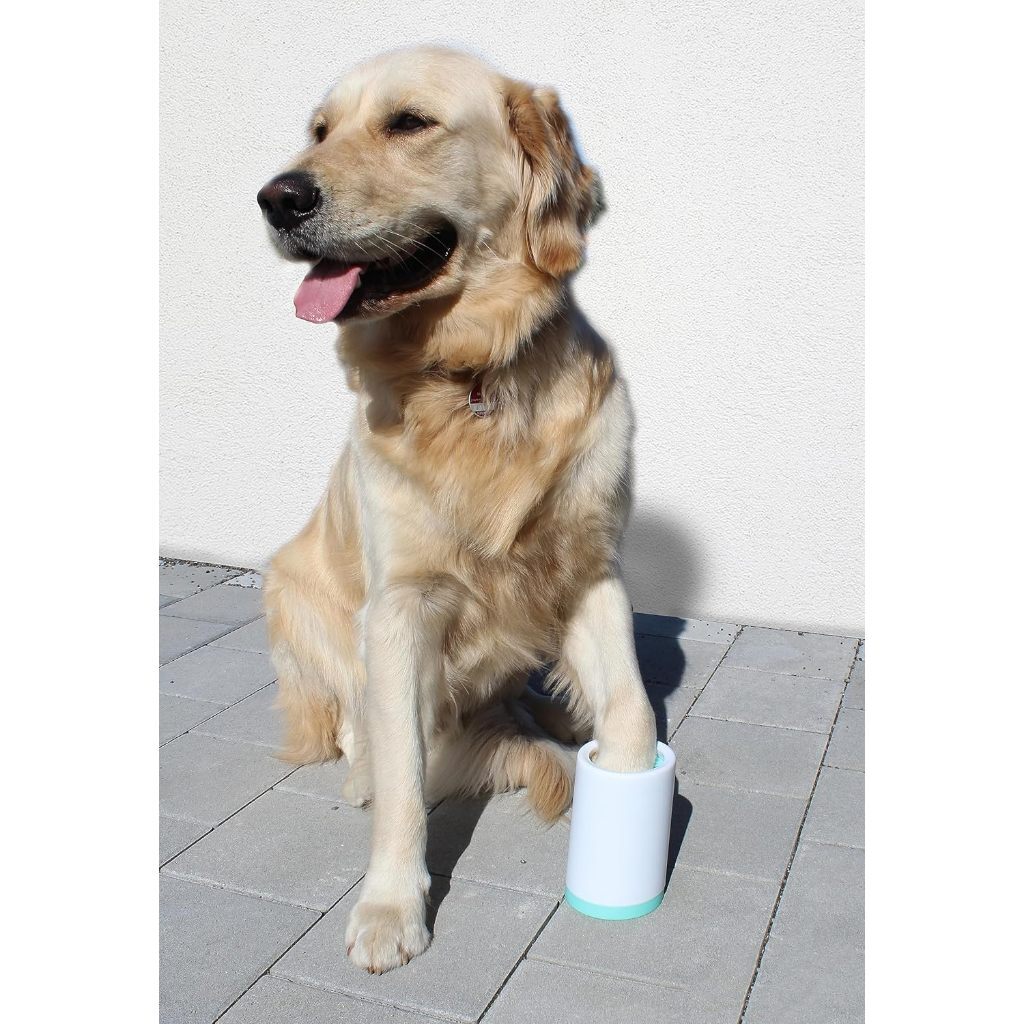 tw-11134207-7ras8-m59y94udo1p293