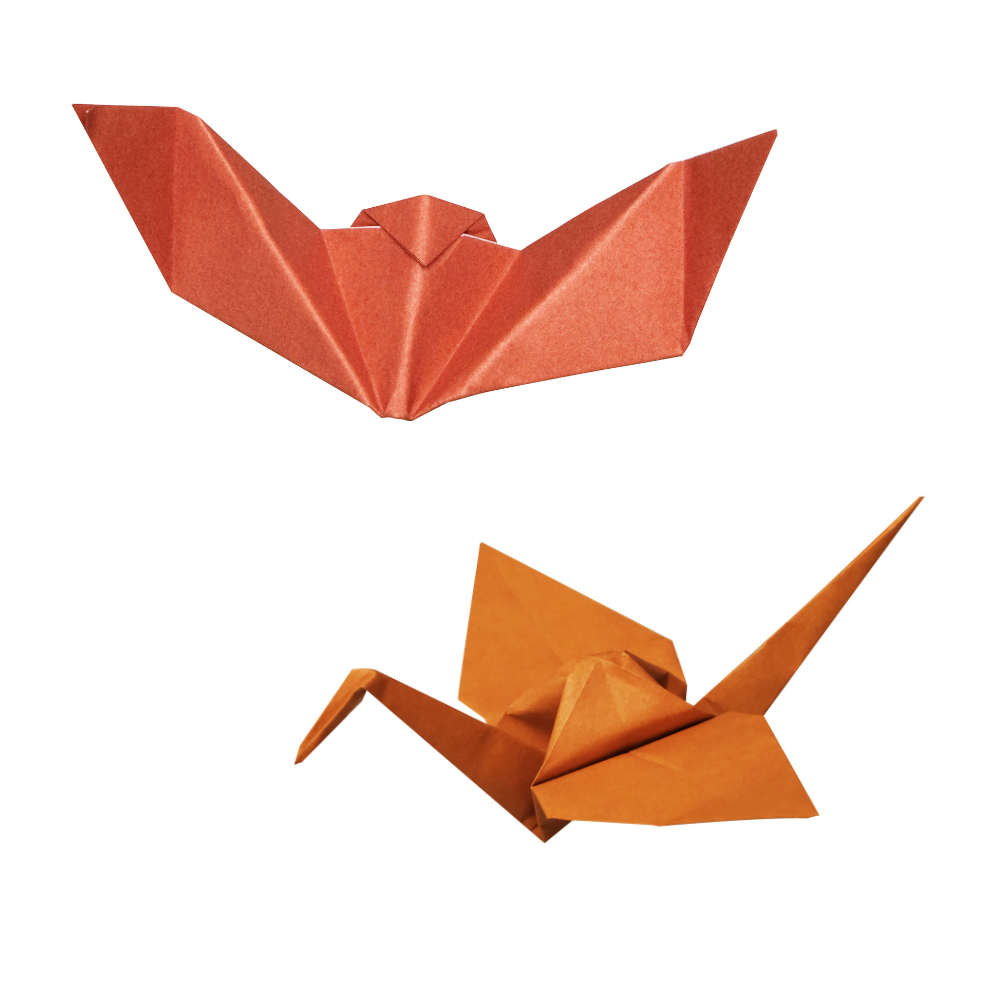 tw-11134207-7r98t-lyywyfyyn1f834