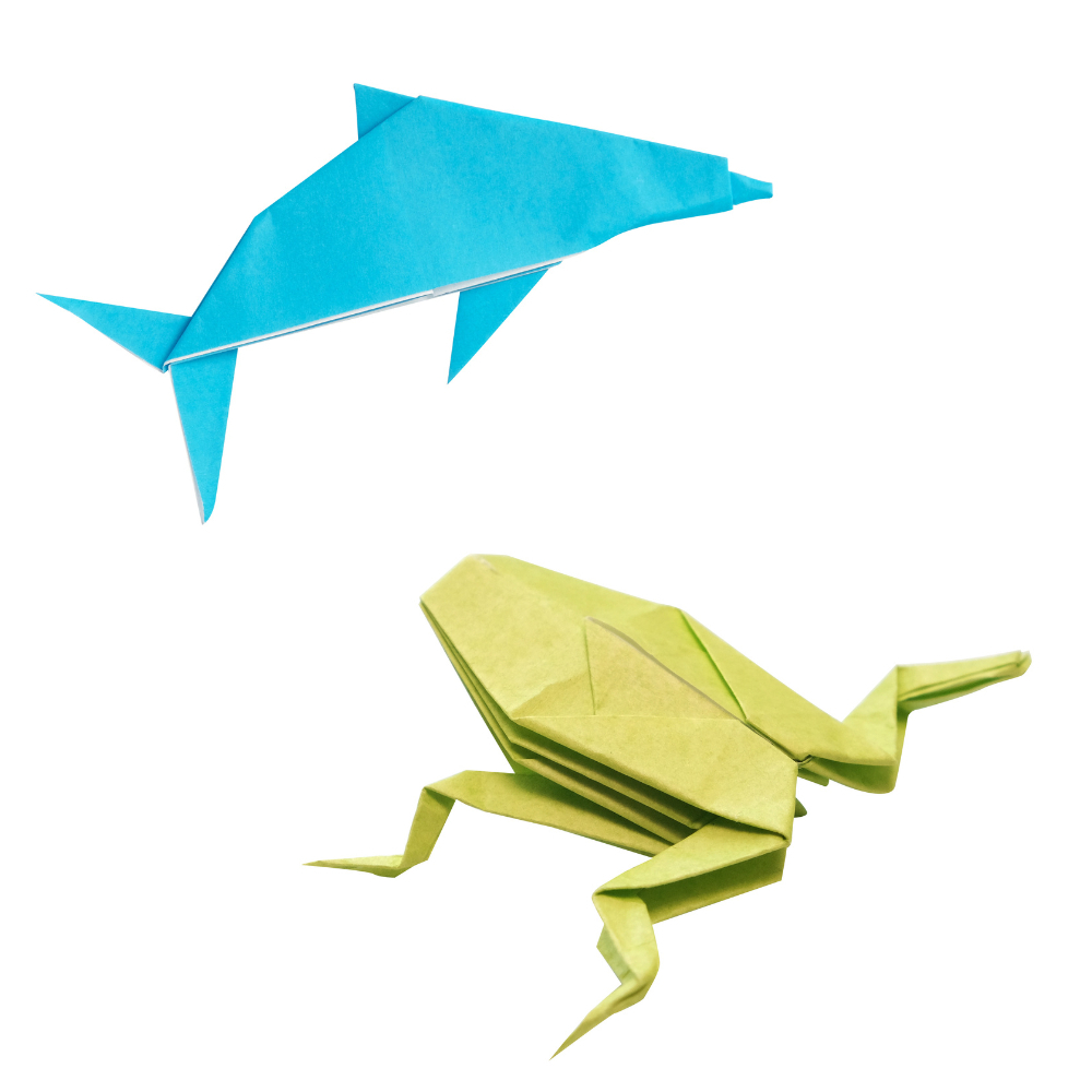 tw-11134207-7r992-lyywyfyyofzofb