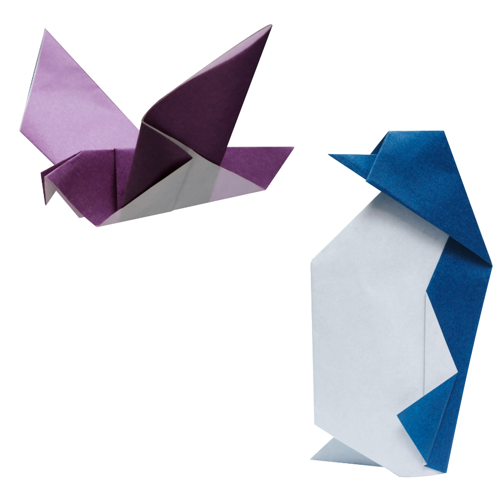 tw-11134207-7r98r-lyywyfyypula26