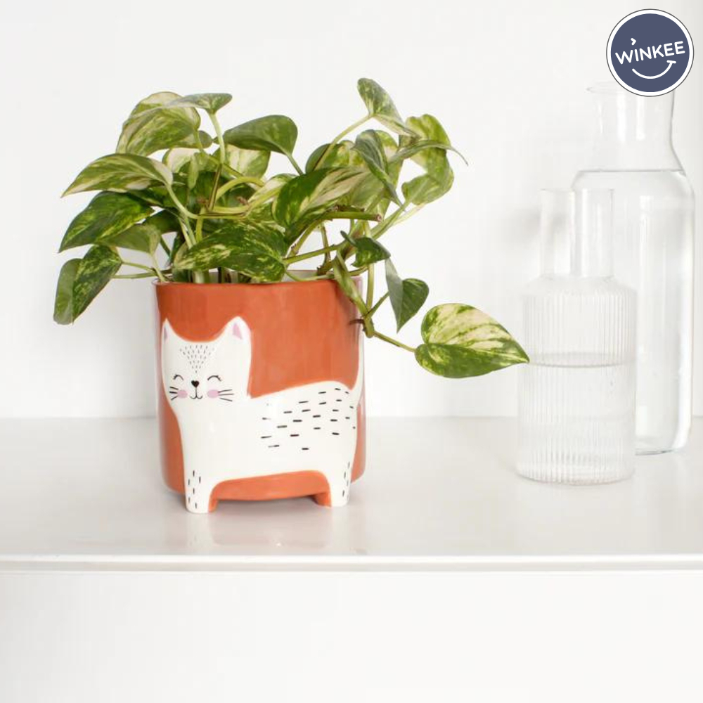 tw-11134207-7r98q-lzeqwbbnm78e22