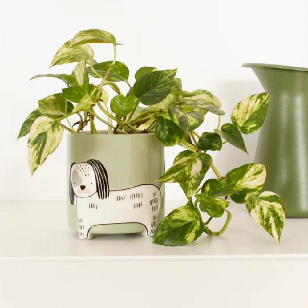 tw-11134207-7r991-lzeqwbbnksmsd6