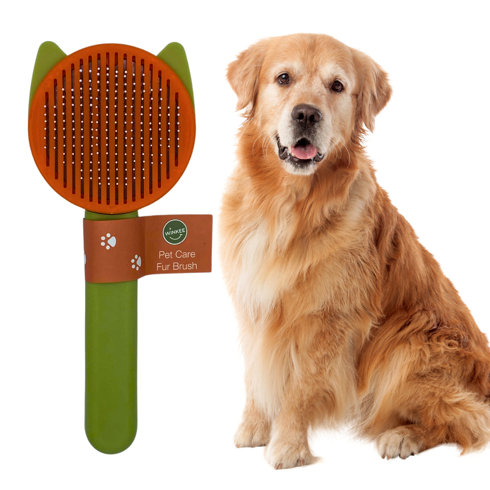 tw-11134207-7rasg-m5e8o5l9c1mee0