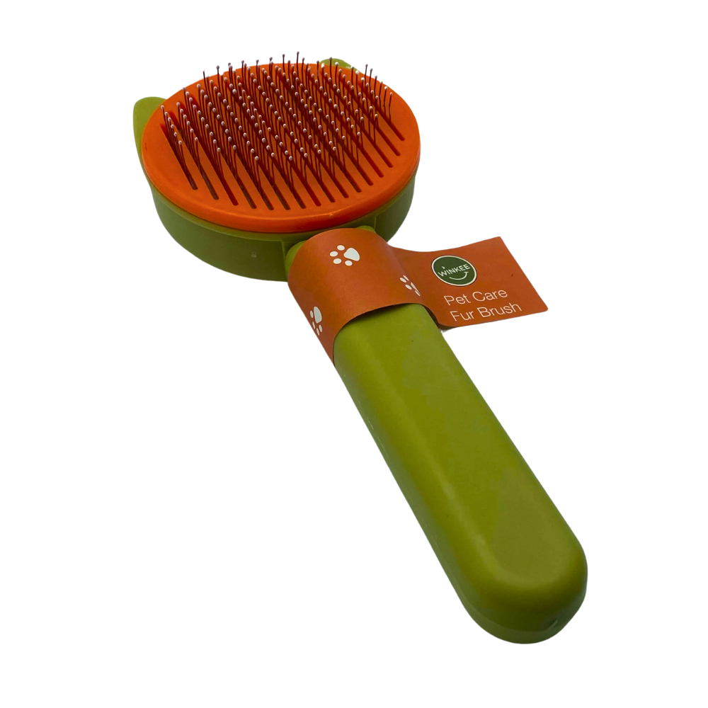 tw-11134207-7ras9-m5e8l73t7aip0b