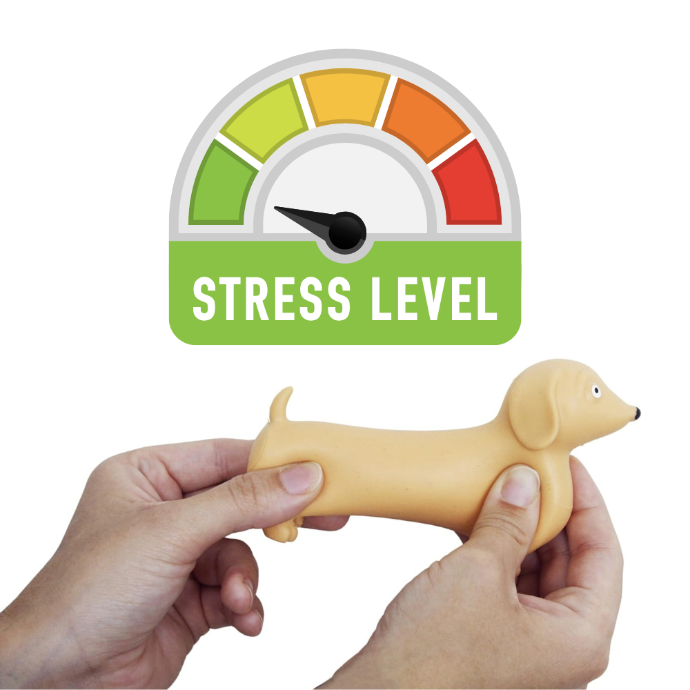 tw-11134207-7rash-m5ccjef4io0118