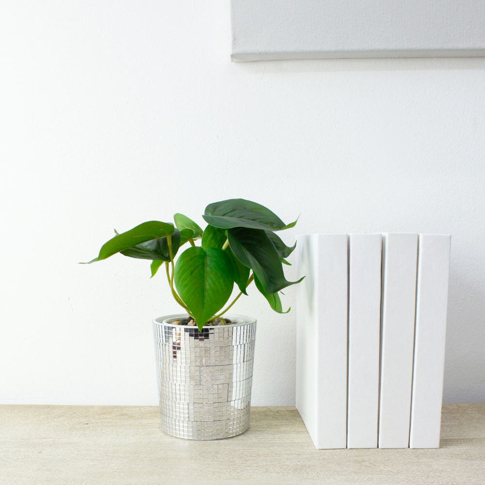 tw-11134207-7r98u-lzebuk94clr28a