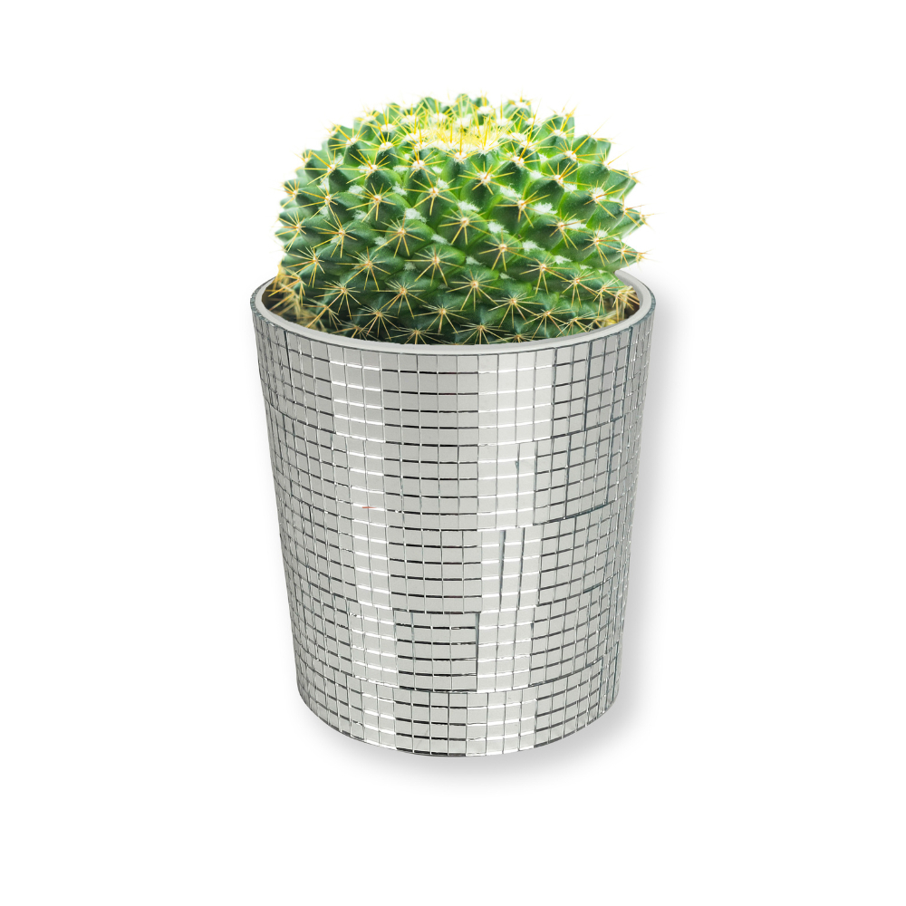 tw-11134207-7r98p-lzebuk7zyrxwa1