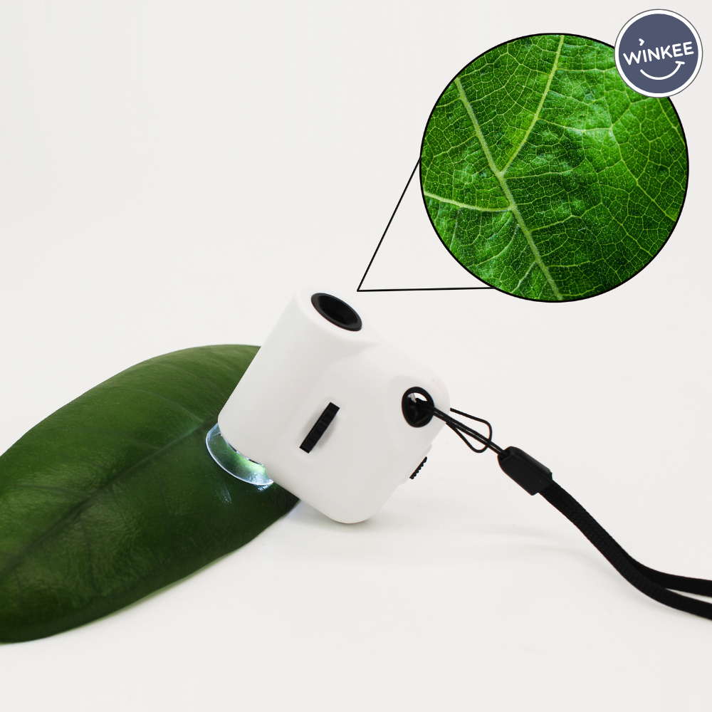 tw-11134207-7r98y-lyyuu57c78ymac