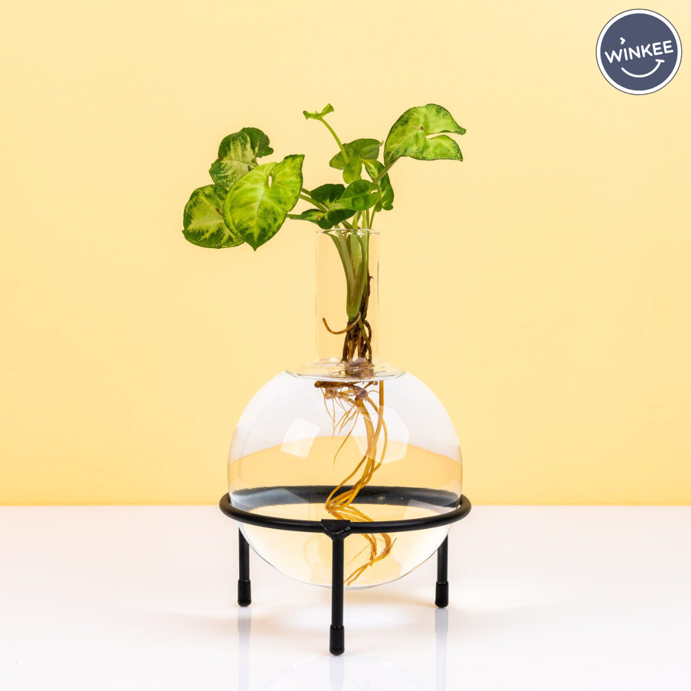 tw-11134207-7r98o-lzefpcnmd910fb