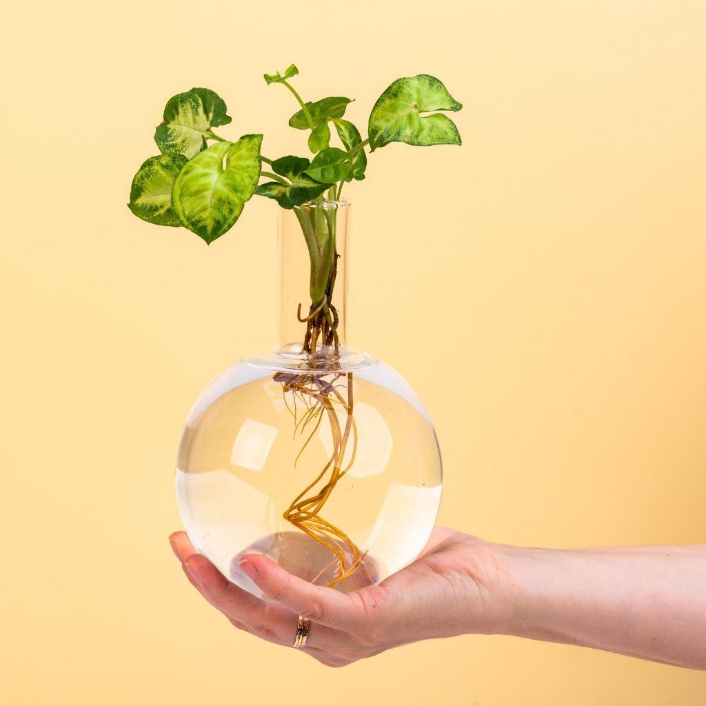 tw-11134207-7r98y-lzefpcnmbuhq07