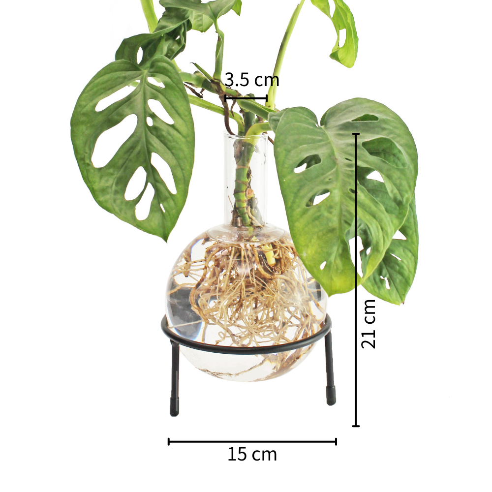 tw-11134207-7r98x-lzegsdrm4aou1d