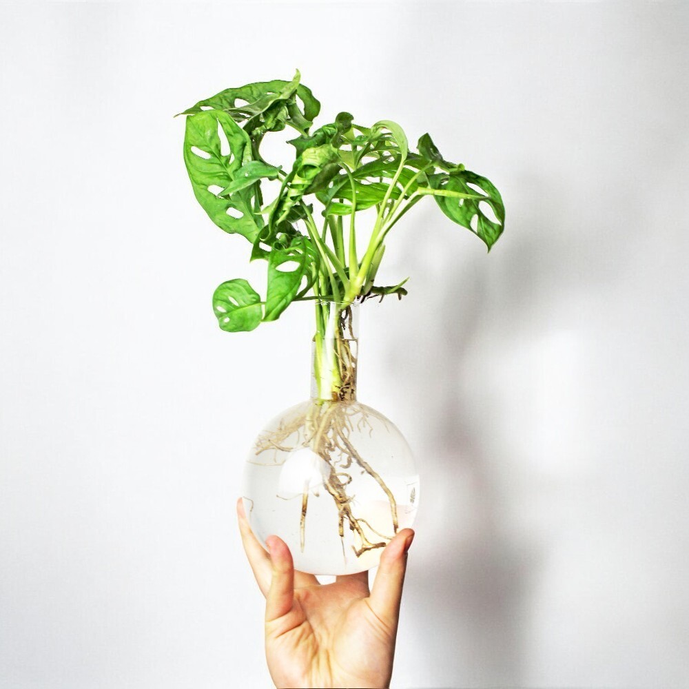 tw-11134207-7r991-lzefpcnmafw482