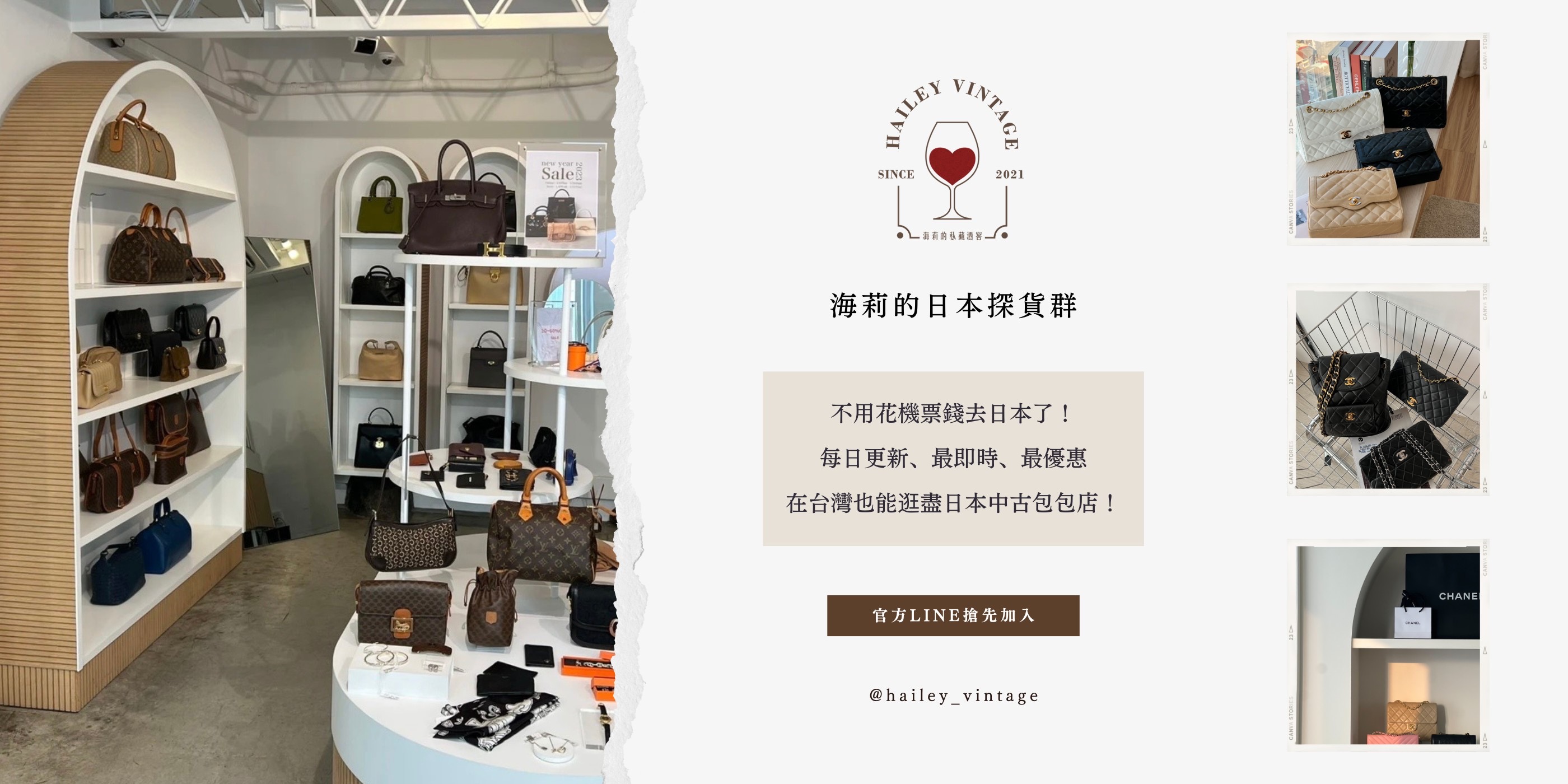  | HAILEY VINTAGE 海莉的私藏酒窖