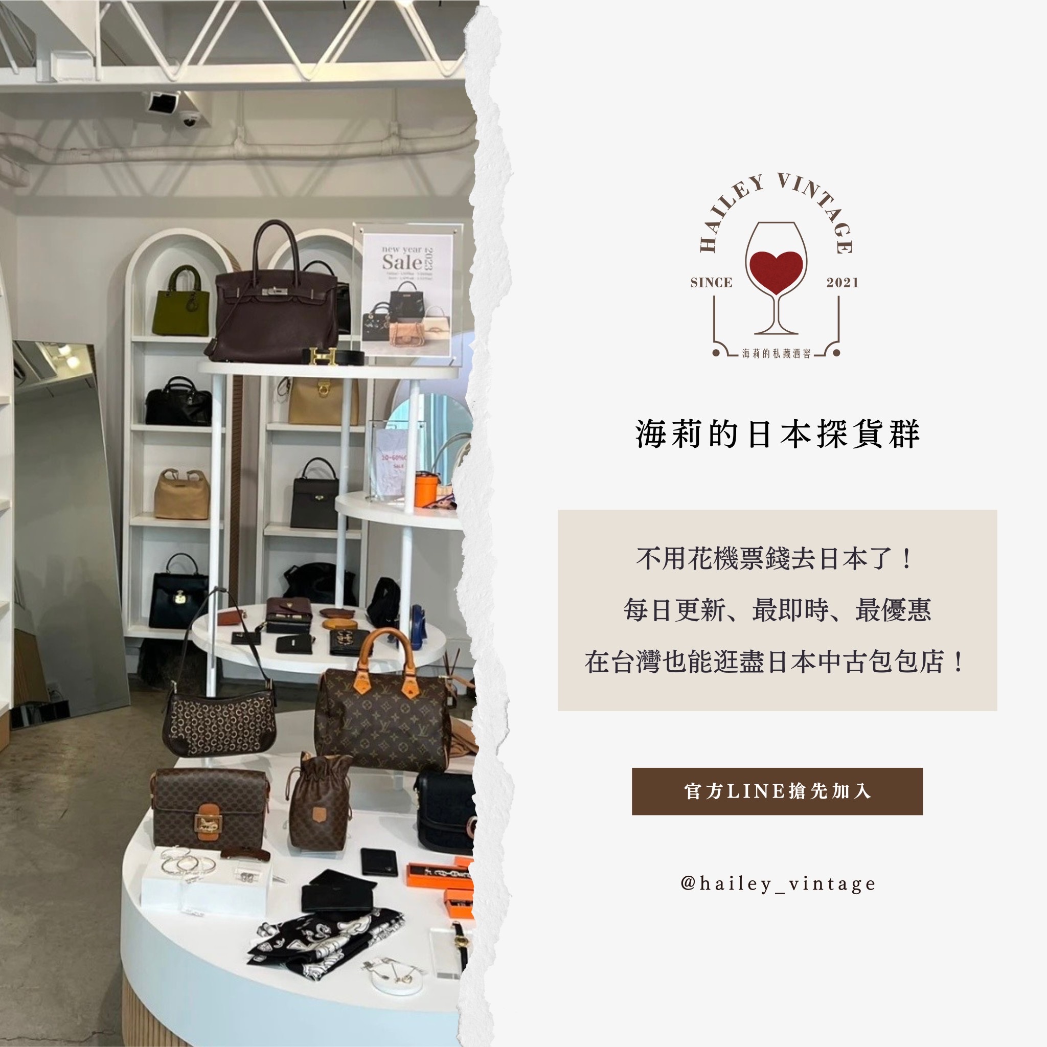  | HAILEY VINTAGE 海莉的私藏酒窖