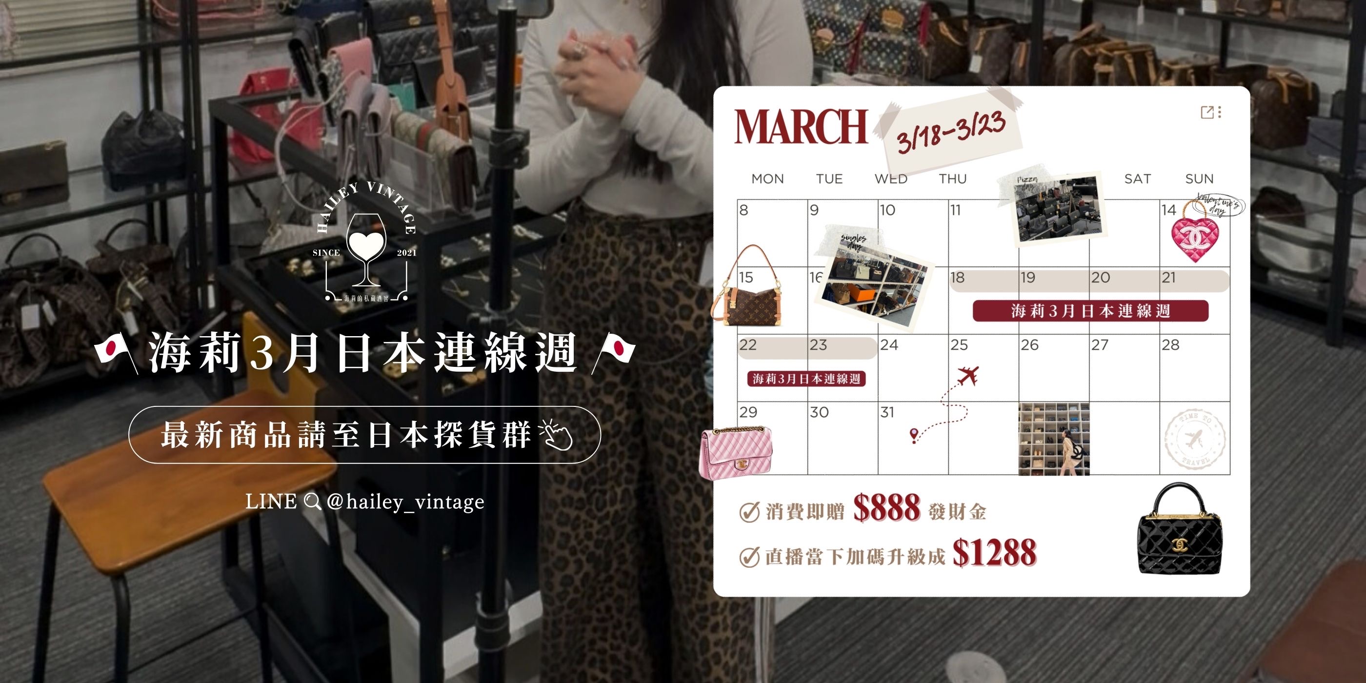  | HAILEY VINTAGE 海莉的私藏酒窖