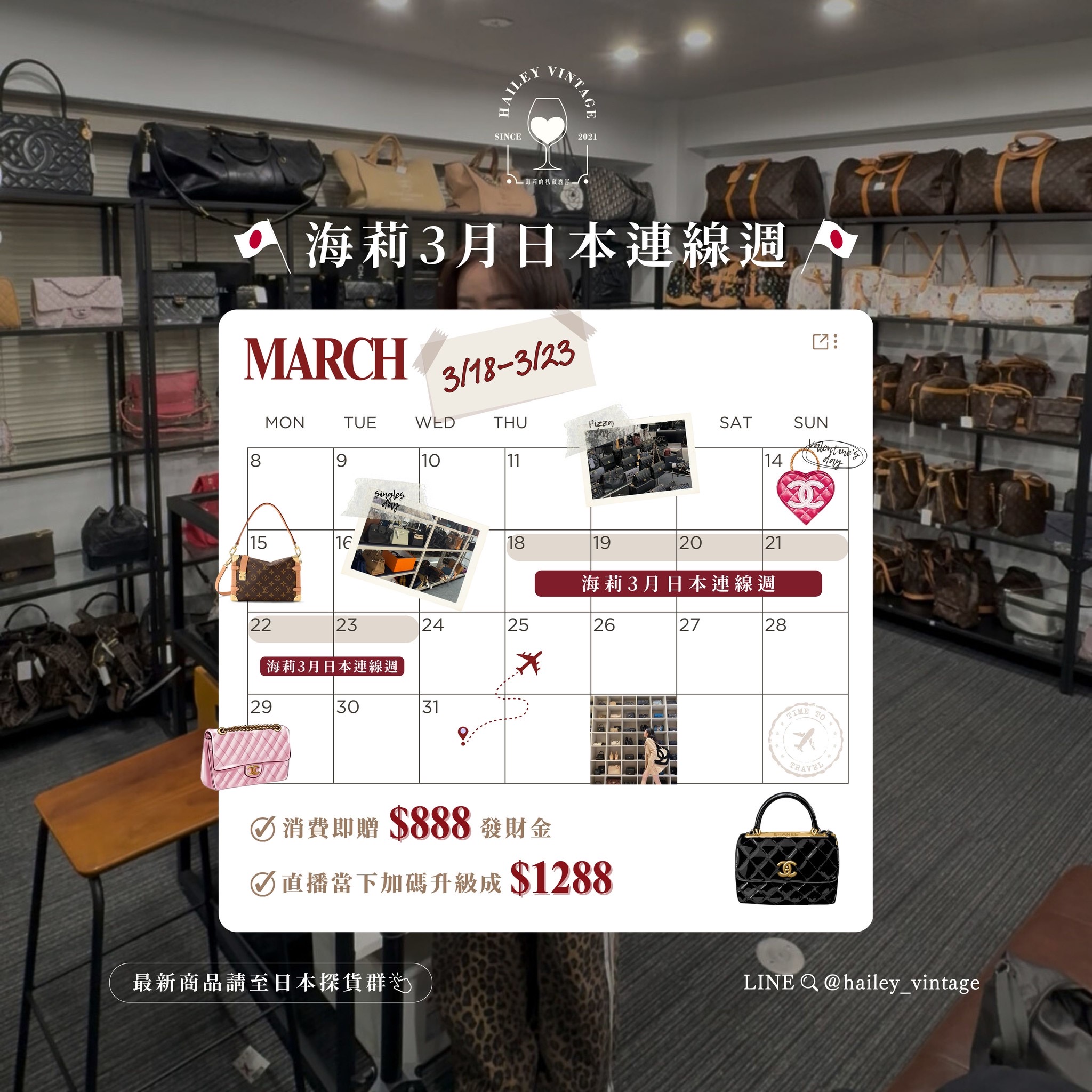  | HAILEY VINTAGE 海莉的私藏酒窖