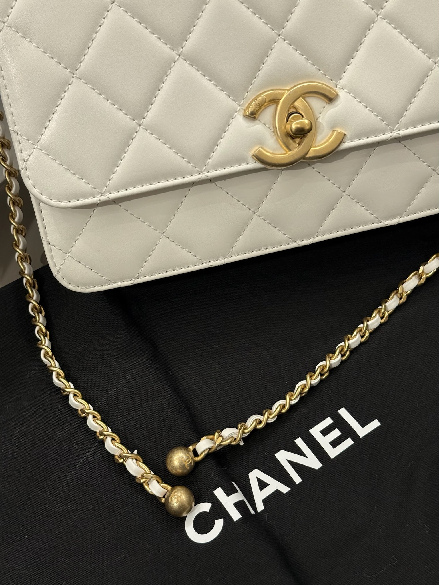 image_026EEAD8-2125-43BF-B040-E23803FC6C5E_1774184486