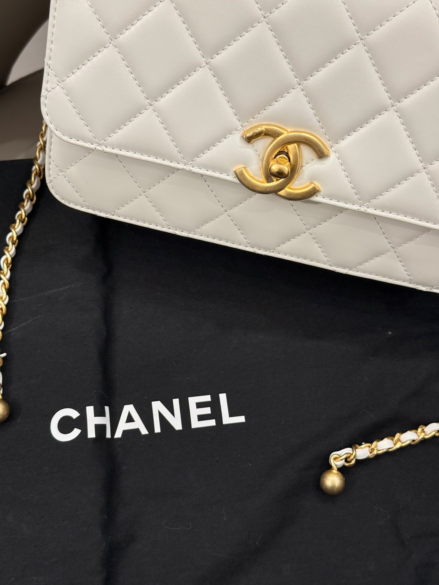 image_08AD3F0E-9A0E-44CF-A2E0-806B97FDC92D_1774184487