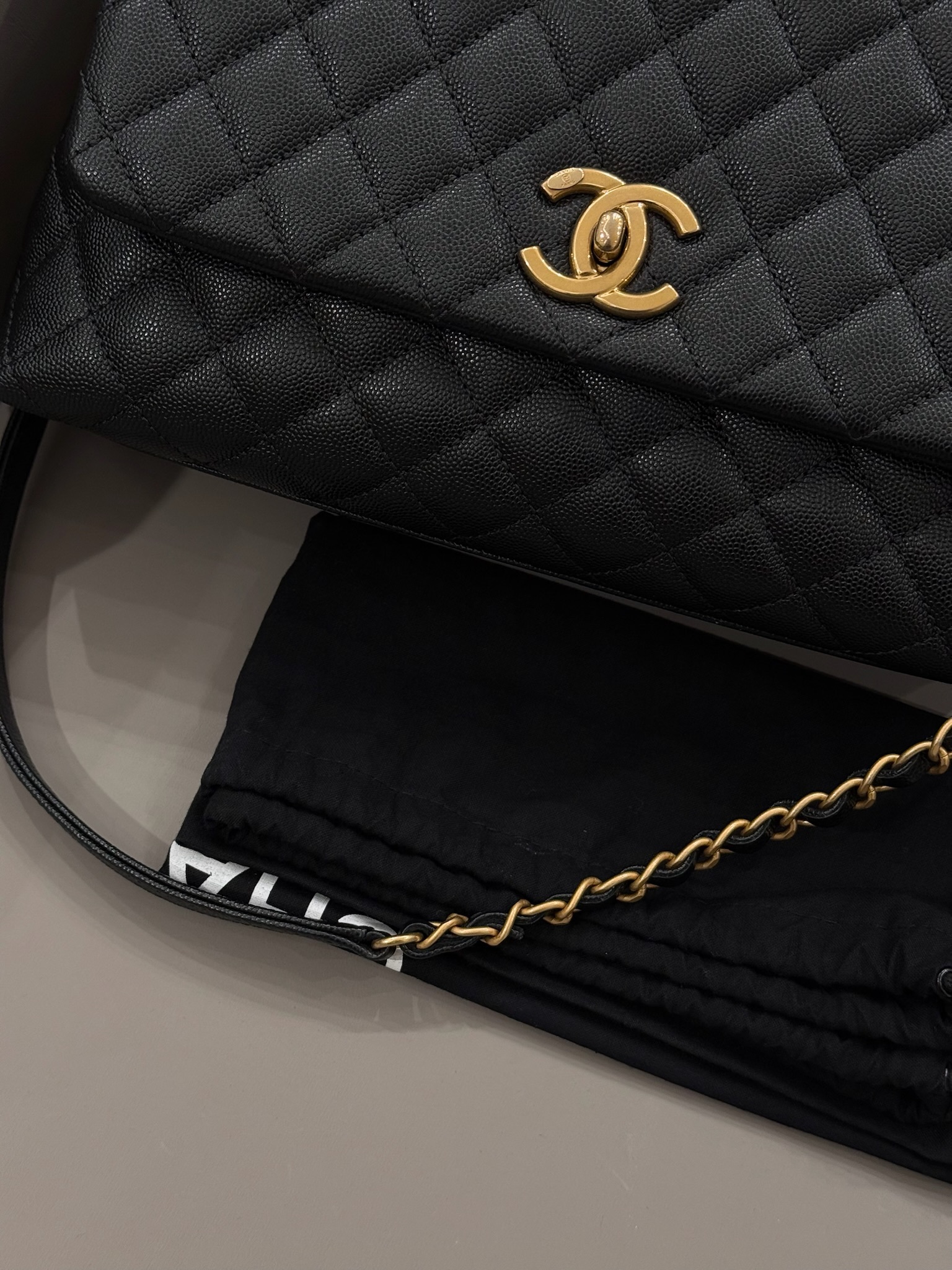 image_17F01837-C0E7-4C7F-AB0E-E2032DBF45E2_1774185629