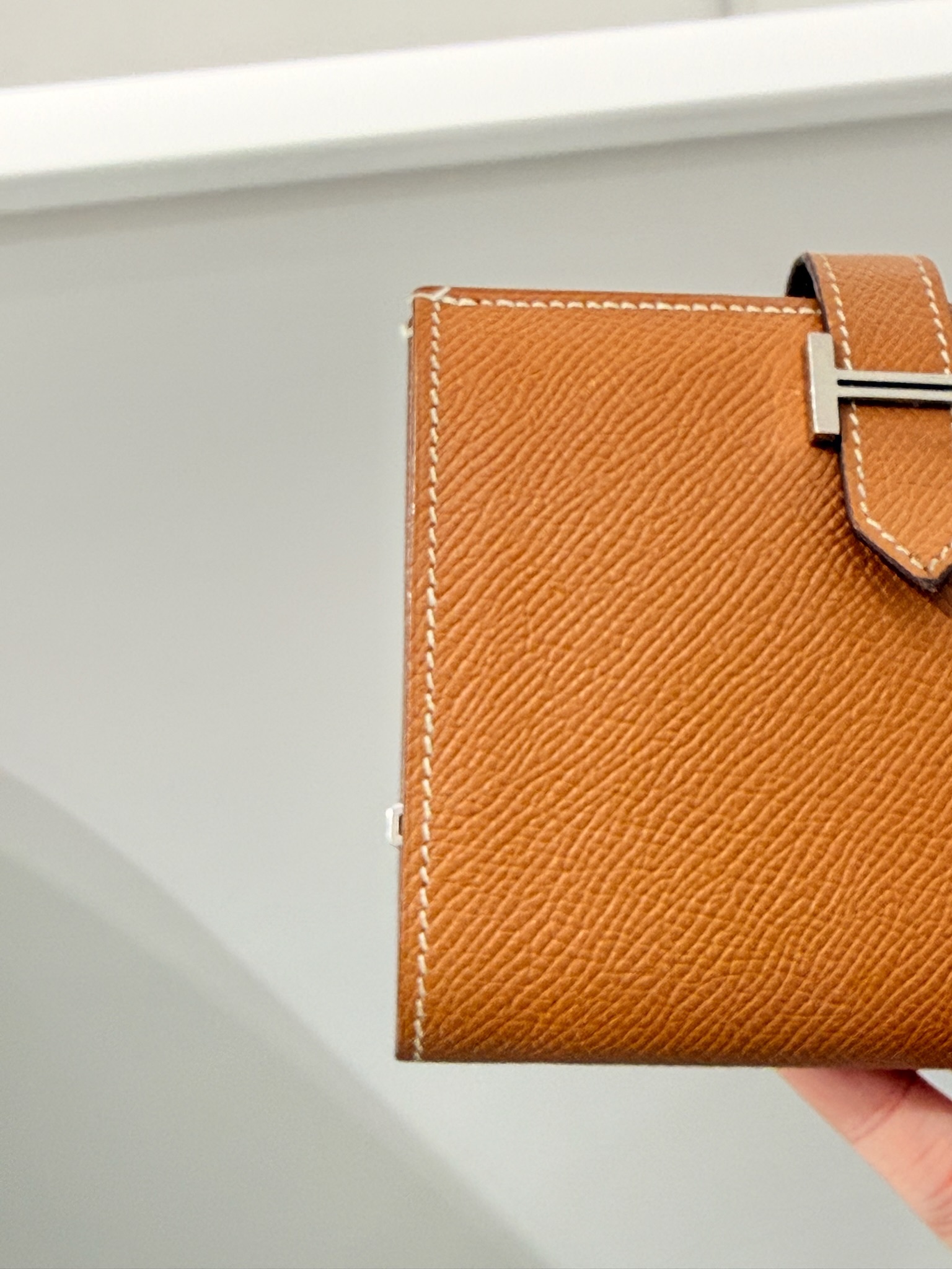 image_9CE3A91D-513A-492B-A6A8-894793320787_1774187107