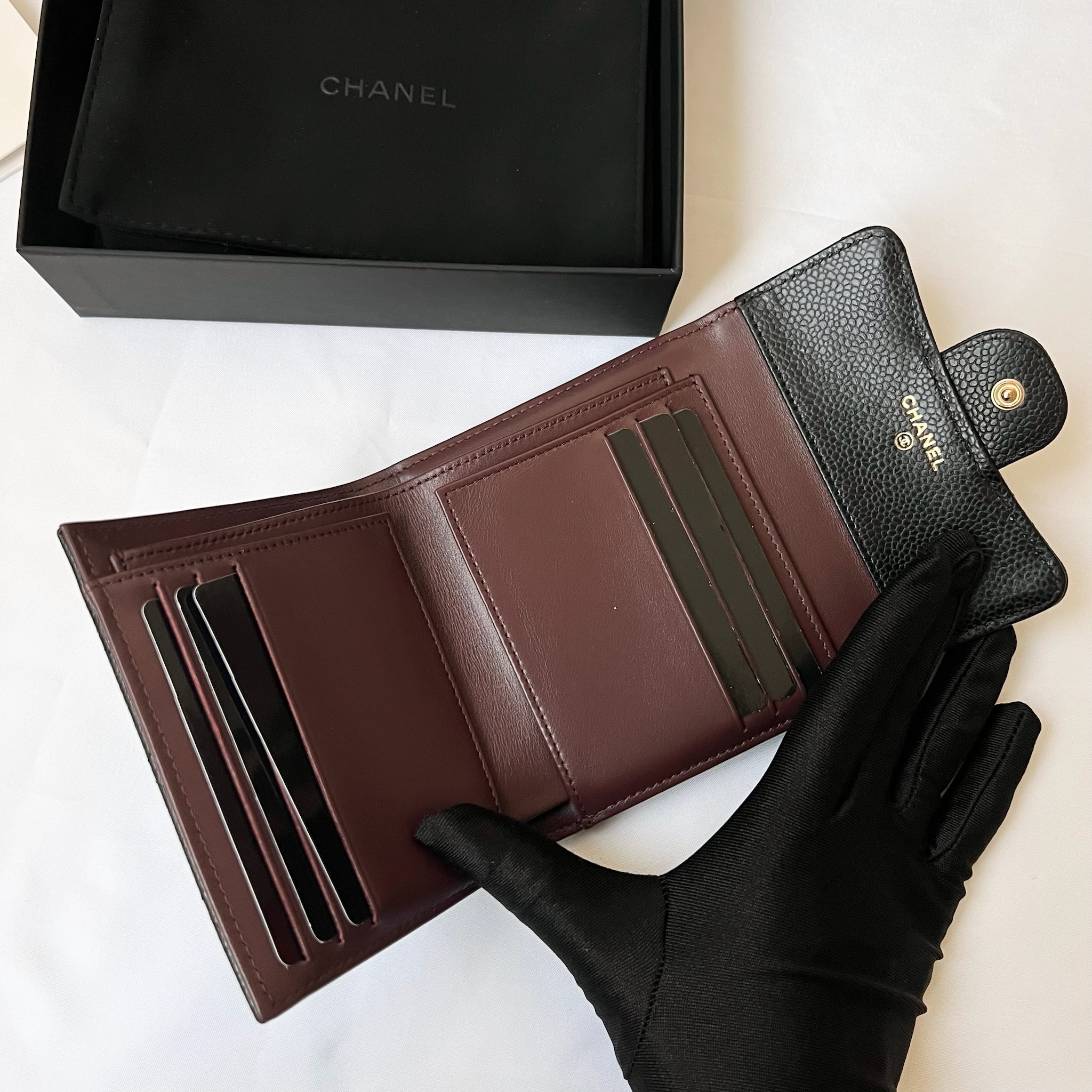 IMG_4711-1728649517680