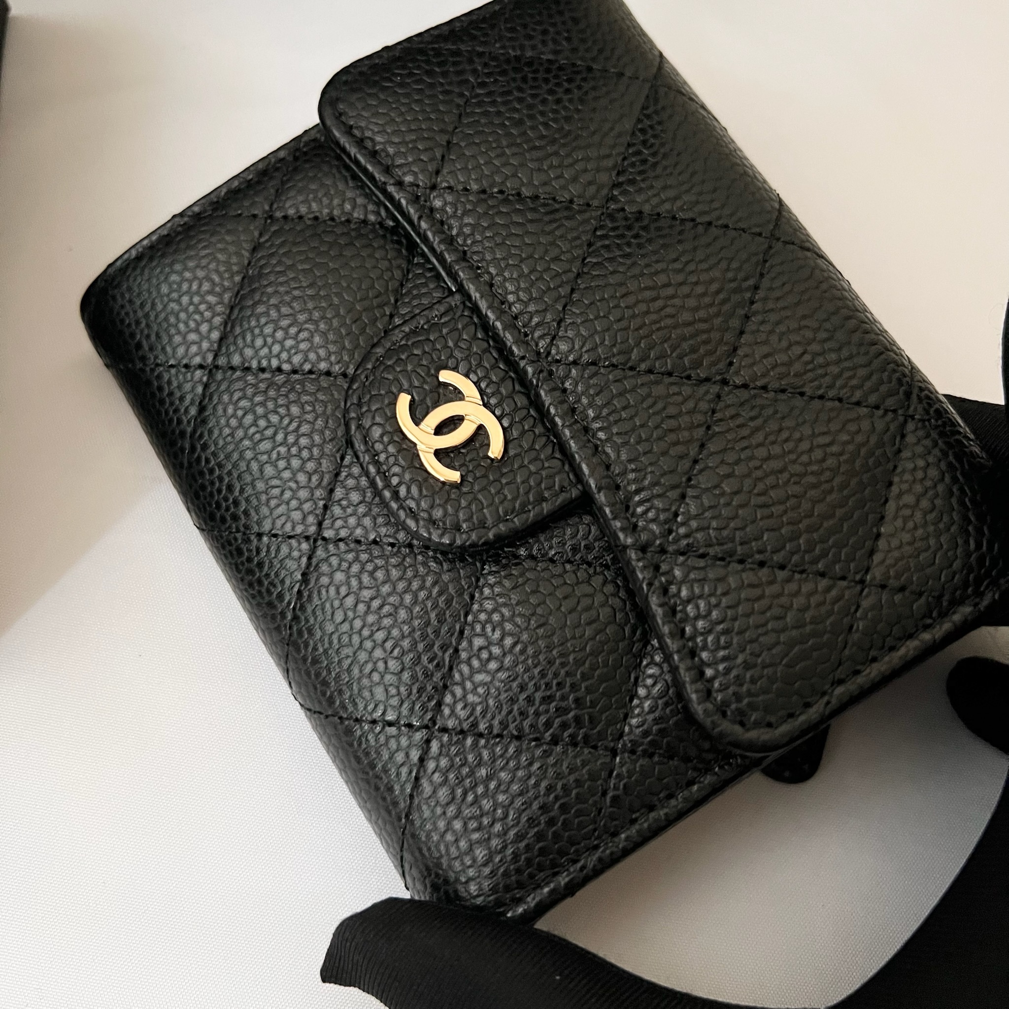 IMG_4719-1728649517700